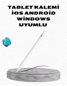 Gri Kurt Duvar Dekoru Asılabilir Dekoratif Heykel Tasarım