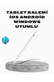 Gri Kurt Duvar Dekoru Asılabilir Dekoratif Heykel Tasarım