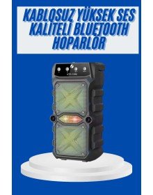 Büyük Boy Bluetooth Hoparlör Çoklu Bağlantı Çift Çıkışlı Taşınabilir Kesintisiz
