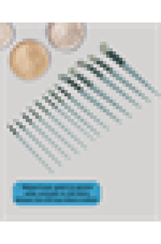 Toz ve Krem Ürünler İçin Güçlü Tutucu Yumuşak Kıllı Makyaj Fırça Takımı 13 Parça