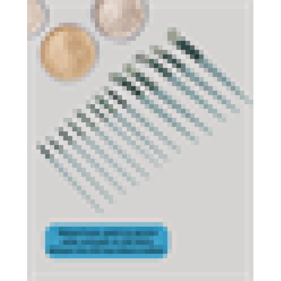 Taşınabilir Ergonomik Yapılı 13 Adet Fiber Kıllı Yüz ve Göz Makyaj Fırçası Seti