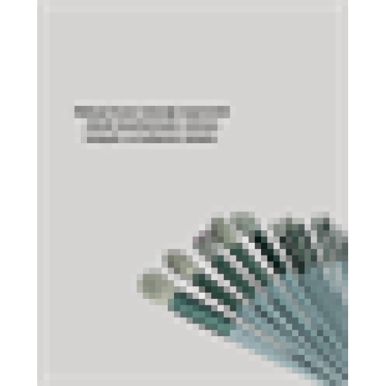 Göz Farı Allık Fondöten İçin Uygun 13'lü Makyaj Fırçası Seti Kompakt Tasarım