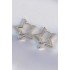 Pirinç Gümüş Renk Yıldız Küpe