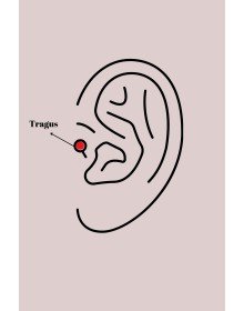 316L Çelik Gümüş Renk Zirkon Taşlı Yıldız Tragus Piercing