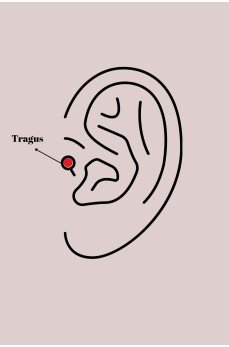 316L Çelik Gümüş Renk Zirkon Taşlı Kurdele Model Tragus Piercing