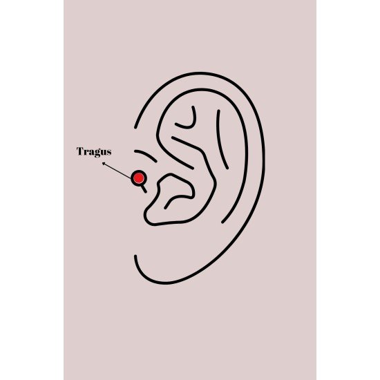 316L Çelik Gümüş Renk Zirkon Taşlı Sallantı Kalp Detay Tragus Piercing 316L Çelik Gümüş Renk Zirkon Taşlı Sallantı Kalp Detay Tragus Piercing