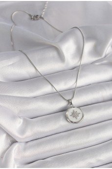 316L Çelik Gümüş Renk Zincir Beyaz Sedefli Zirkon Taşlı Yıldız İşleme Model Kadın Kolye 316L Çelik Gümüş Renk Zincir Beyaz Sedefli Zirkon Taşlı Yıldız İşleme Model Kadın Kolye