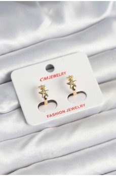 Pirinç Gold Renk Yıldız Kadın Küpe Pirinç Gold Renk Yıldız Kadın Küpe