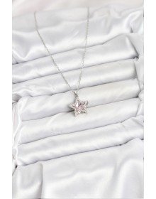 316L Çelik Zincir Gümüş Renk Pembe Taşlı Yıldız Model Kadın Kolye