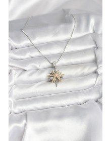 316L Çelik Zincir Gümüş Renk Kutup Yıldızı Model Kadın Kolye