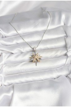 316L Çelik Zincir Gümüş Renk Kutup Yıldızı Model Kadın Kolye