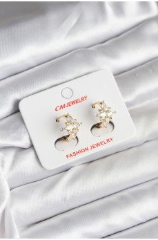 14K Gold Renk Kaplama Kutup Yıldız Zirkon Taşlı CM Kadın Küpe