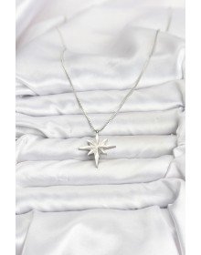 316L Çelik Zincir Gümüş Renk Kutup Yıldızı Model 60 cm Zincir Kadın Kolye