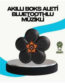 Ev Tipi Akıllı Boks Duvar Paneli Müzikli Bluetoothlu Refleks Geliştirme Cihazı