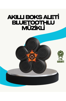 Ev Tipi Akıllı Boks Duvar Paneli Müzikli Bluetoothlu Refleks Geliştirme Cihazı