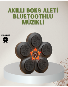 Bluetoothlu Akıllı Boks Antrenman Cihazı Işıklı Hedefli Kardiyo ve Fitness Aleti