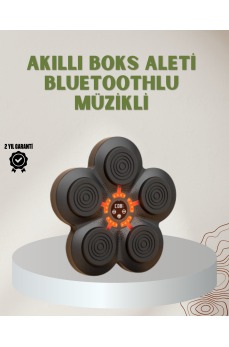 Bluetoothlu Akıllı Boks Antrenman Cihazı Işıklı Hedefli Kardiyo ve Fitness Aleti