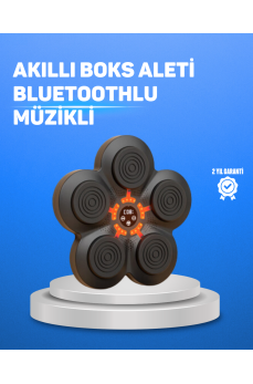 Müzikli Boks Duvar Paneli Akıllı Işık Sistemli Refleks ve Kondisyon Aleti