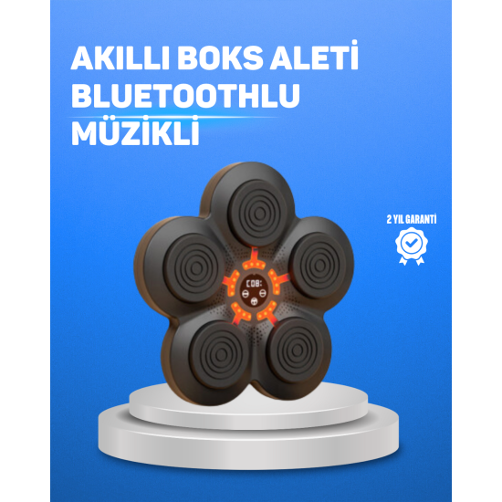 Müzikli Boks Duvar Paneli Akıllı Işık Sistemli Refleks ve Kondisyon Aleti