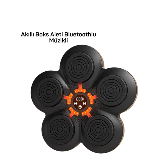 MÜZİK BOX MAKİNESİ