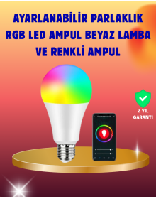 Profesyonel Makyaj Uygulamalarına Özel 12 Parça Kompakt ve Hafif Makyaj Fırça Seti