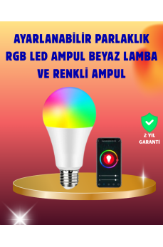 Profesyonel Makyaj Uygulamalarına Özel 12 Parça Kompakt ve Hafif Makyaj Fırça Seti