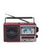 Usb Sd Fm Sw3 Radyo Rt-41BT