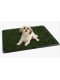 Yavru Köpek Tuvalet Eğitim Parkı 3 Katmanlı - 45Cm x 32 Cm