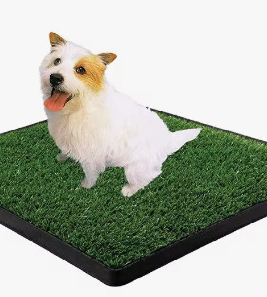 Yavru Köpek Tuvalet Eğitim Parkı 3 Katmanlı - 45Cm x 32 Cm