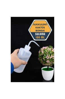 Sukkulent Kaktüs Bonsai Sulama Şişesi