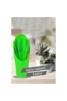 Kaktüs Sukkulent Dikim Seti Kaktüs Sukkulent Dikim Seti