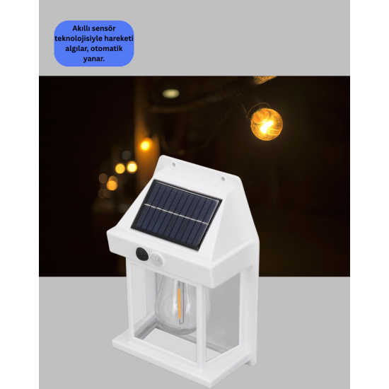 Güneş Enerjili Duvar Lambası BK888