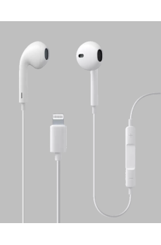 12V Çakmak Girişli Araç İçi Isıtıcı Paslanmaz Çelik Bardak