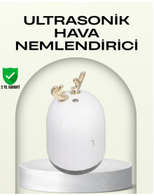 ABS+PP Malzemeli Taşınabilir 220 ml USB Mist Nemlendirici