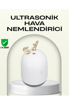 ABS+PP Malzemeli Taşınabilir 220 ml USB Mist Nemlendirici