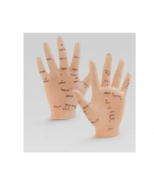 Akupunktur EL Maketi