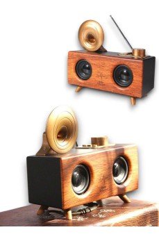 B6 SPEAKER HOPARLÖR