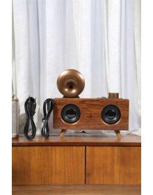 Bluetooth Hoparlör Ahşap Klasik Retro Gramofon Bluetooth Müzik Kutusu