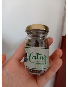 Catnip Doğal Kedi Otu - Kedi Nanesi