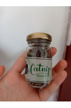 Catnip Doğal Kedi Otu - Kedi Nanesi Catnip Doğal Kedi Otu - Kedi Nanesi