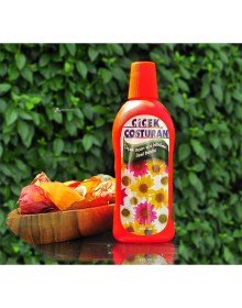 Çiçek Coşturan Çiçek Açan Süs Bitkileri İçin