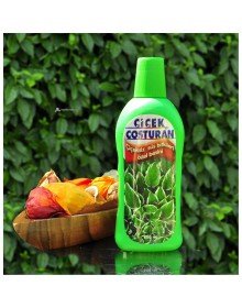 Çiçek Coşturan Çiçeksiz Süs Bitkileri İçin