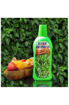 Çiçek Coşturan Çiçeksiz Süs Bitkileri İçin