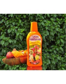 Çiçek Coşturan Mevsimlik Fide Gül Bahçe Bitkileri İçin