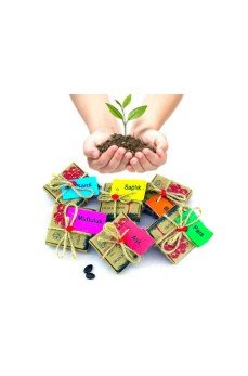 Dilek Tohumları - Şans