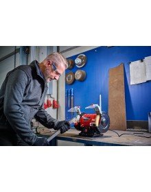 Einhell TC BG 150 B Taş Motoru 350 Watt