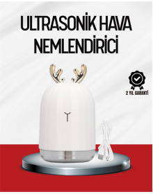 El Tipi USB Mini Soğuk Mist Nemlendirici 220 ml Tank