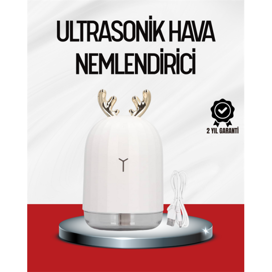 El Tipi USB Mini Soğuk Mist Nemlendirici 220 ml Tank