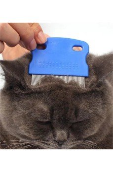 Evcil Hayvan Bakım Tarağı – Kedi Köpek Tavşan İnce Dişli Bit Pire Tarağı Evcil Hayvan Bakım Tarağı – Kedi Köpek Tavşan İnce Dişli Bit Pire Tarağı