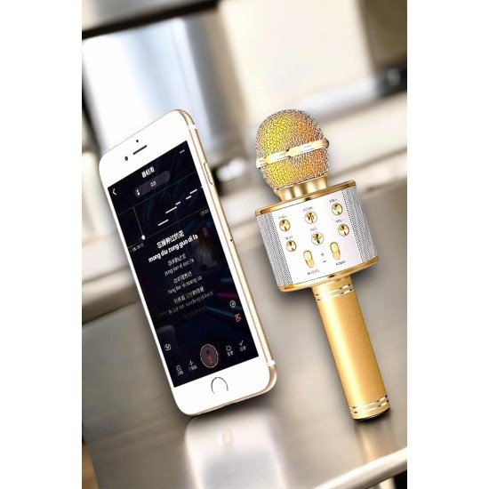 Şarjlı ve Uzun Pil Ömürlü Karaoke Mikrofon USB Bellek Destekli, Profesyonel Ses